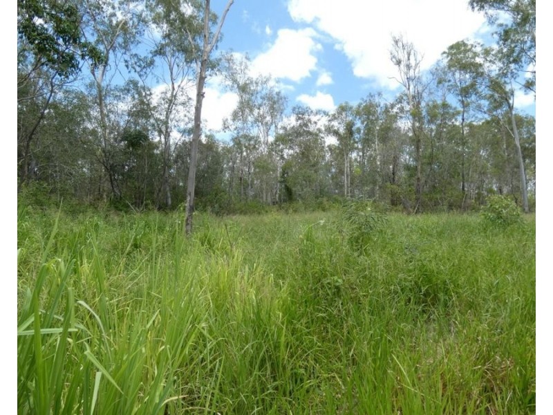Lot 43 Moolyung Road, Waterloo QLD 4673