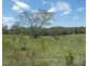 Lot 41 Moolyung Road, Waterloo QLD 4673