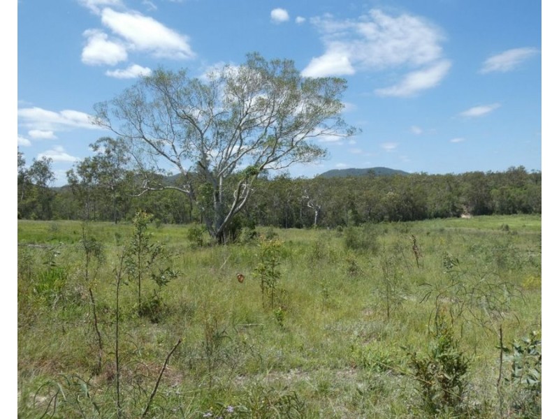 Lot 41 Moolyung Road, Waterloo QLD 4673