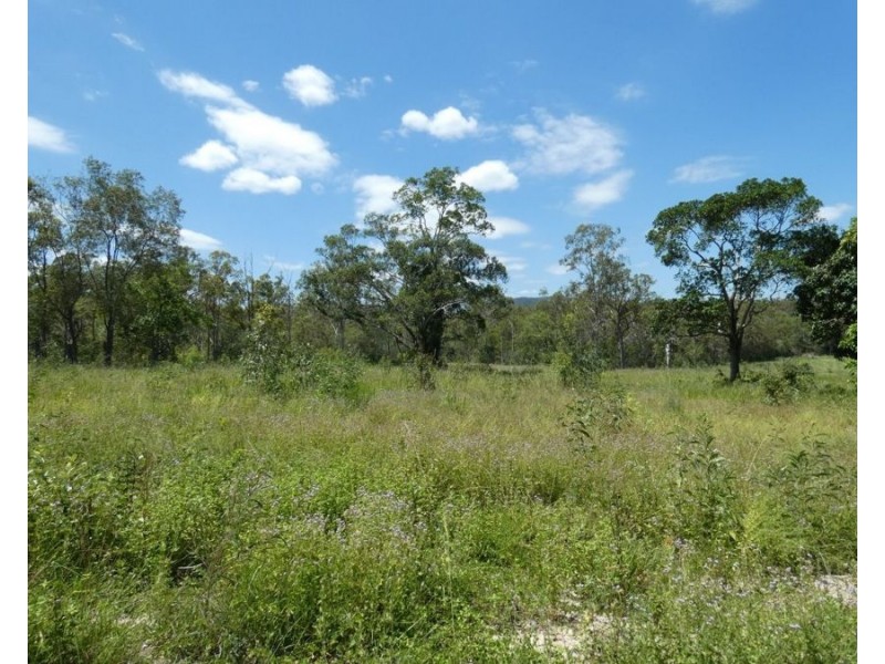 Lot 41 Moolyung Road, Waterloo QLD 4673