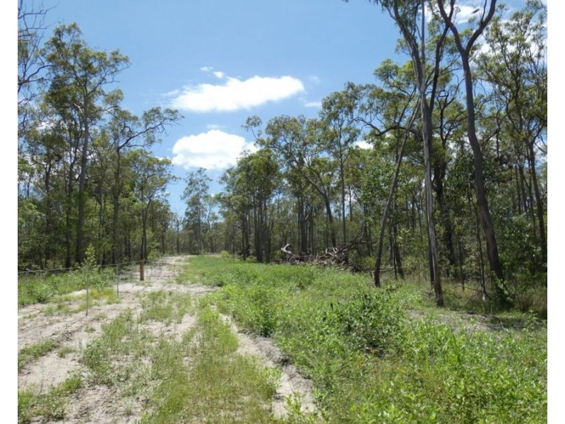 Lot 41 Moolyung Road, Waterloo QLD 4673