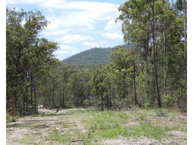 Lot 41 Moolyung Road, Waterloo QLD 4673