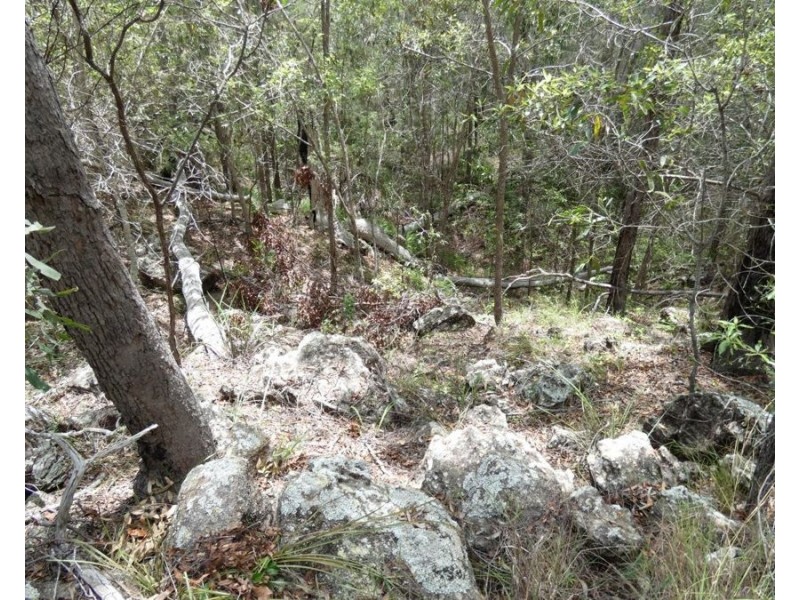 Lot 41 Moolyung Road, Waterloo QLD 4673