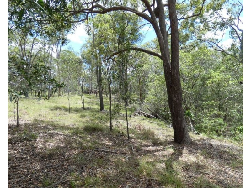 Lot 41 Moolyung Road, Waterloo QLD 4673