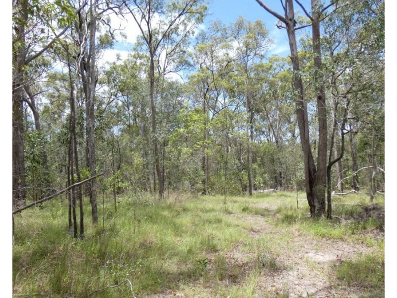 Lot 41 Moolyung Road, Waterloo QLD 4673