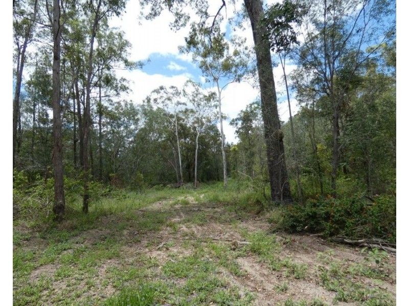 Lot 41 Moolyung Road, Waterloo QLD 4673
