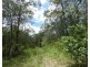 Lot 41 Moolyung Road, Waterloo QLD 4673