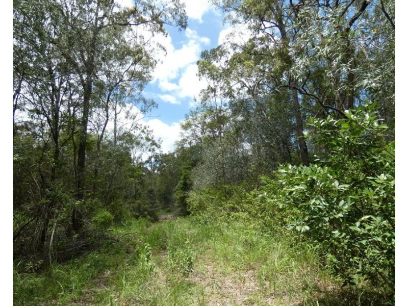 Lot 41 Moolyung Road, Waterloo QLD 4673