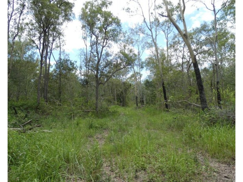 Lot 41 Moolyung Road, Waterloo QLD 4673