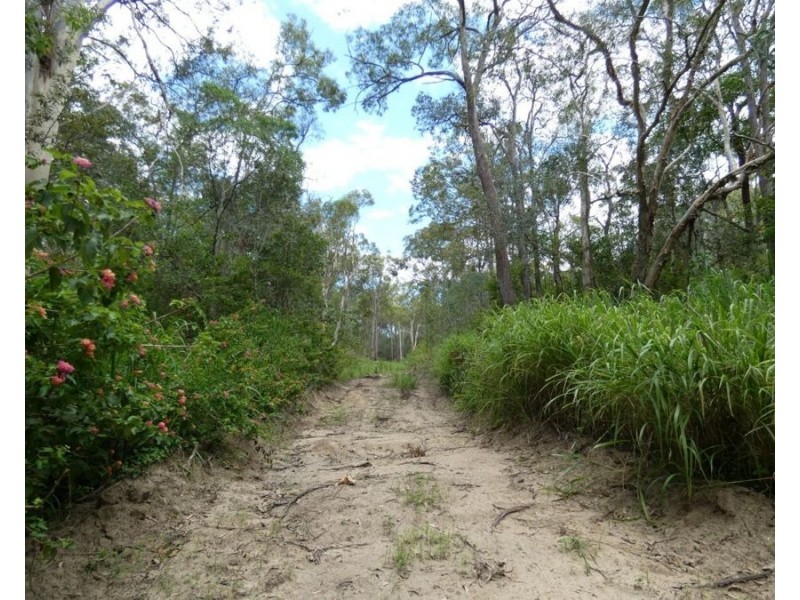 Lot 41 Moolyung Road, Waterloo QLD 4673