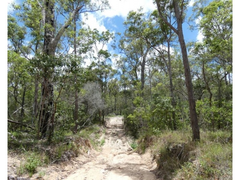 Lot 41 Moolyung Road, Waterloo QLD 4673