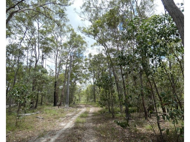 Lot 41 Moolyung Road, Waterloo QLD 4673