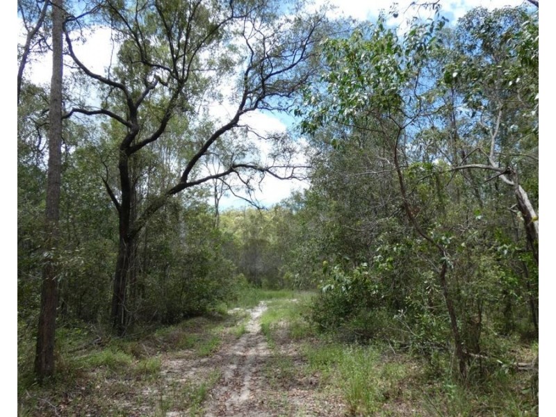 Lot 41 Moolyung Road, Waterloo QLD 4673