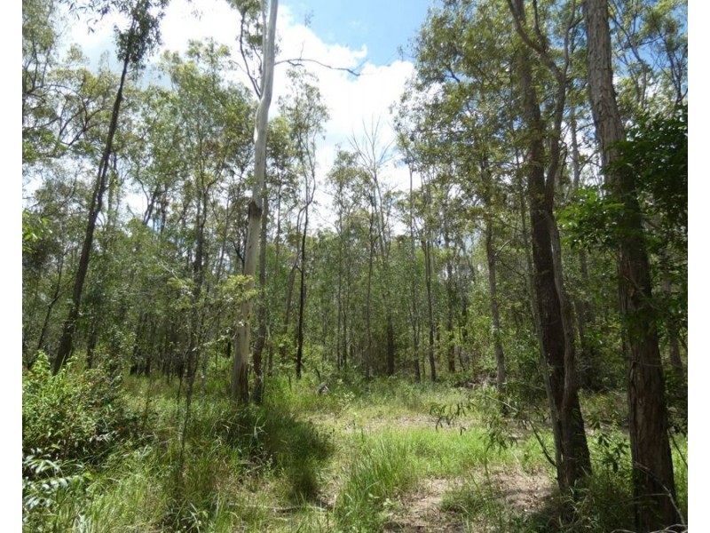 Lot 41 Moolyung Road, Waterloo QLD 4673