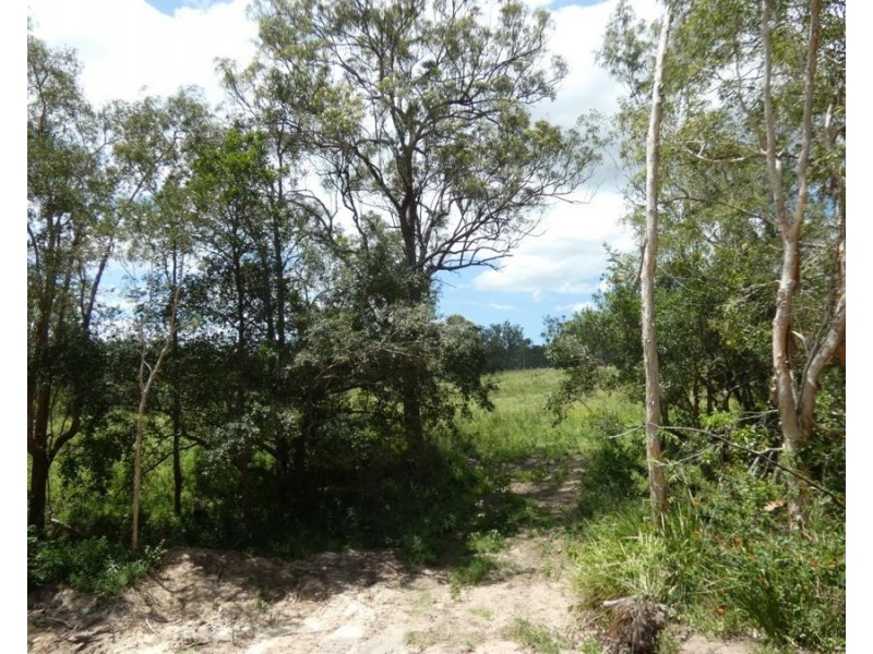 Lot 41 Moolyung Road, Waterloo QLD 4673