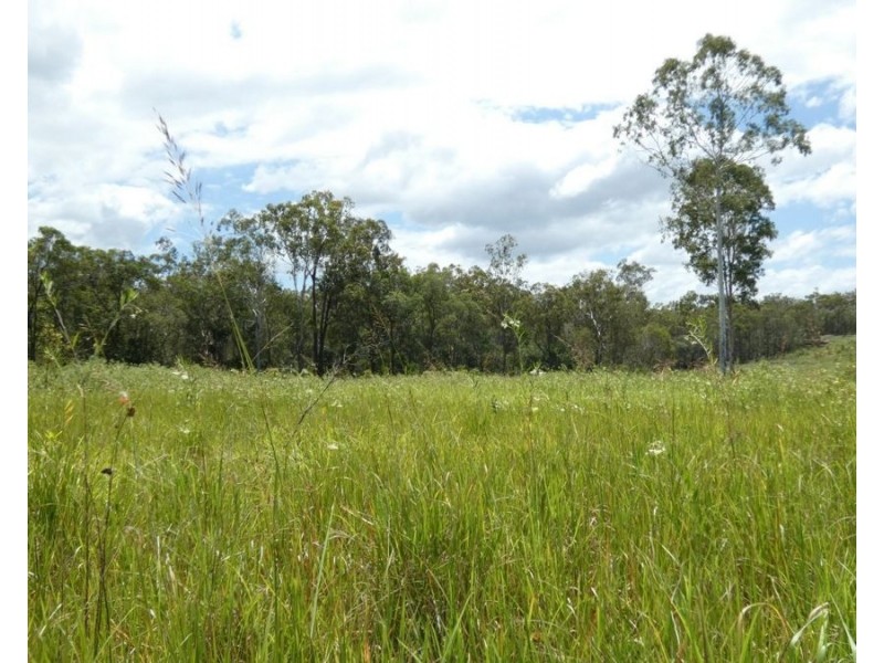 Lot 41 Moolyung Road, Waterloo QLD 4673