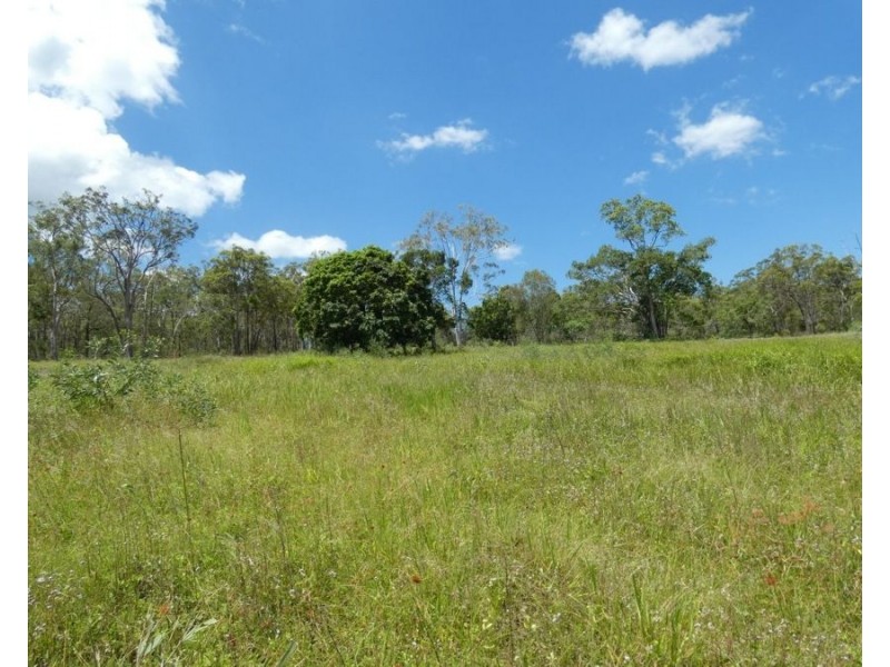 Lot 41 Moolyung Road, Waterloo QLD 4673