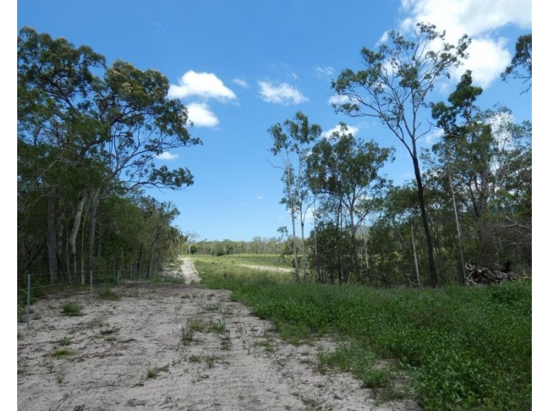 Lot 41 Moolyung Road, Waterloo QLD 4673