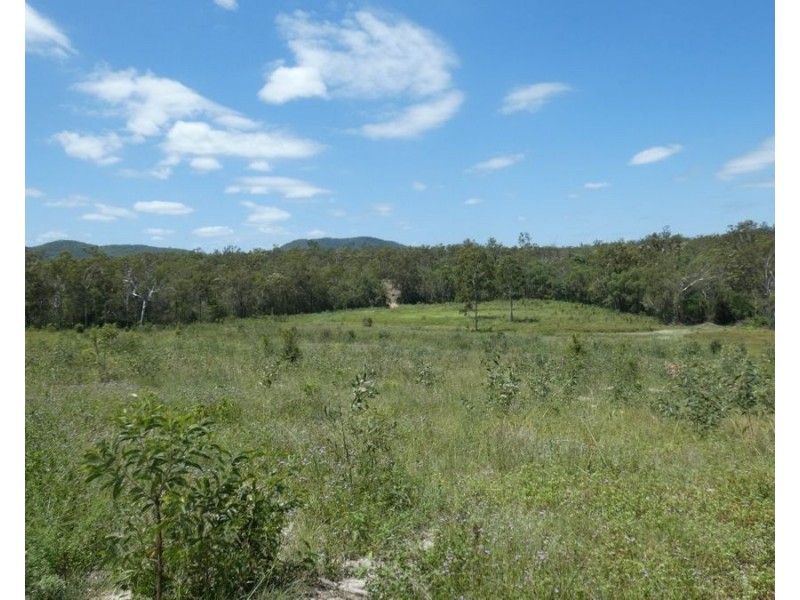 Lot 41 Moolyung Road, Waterloo QLD 4673