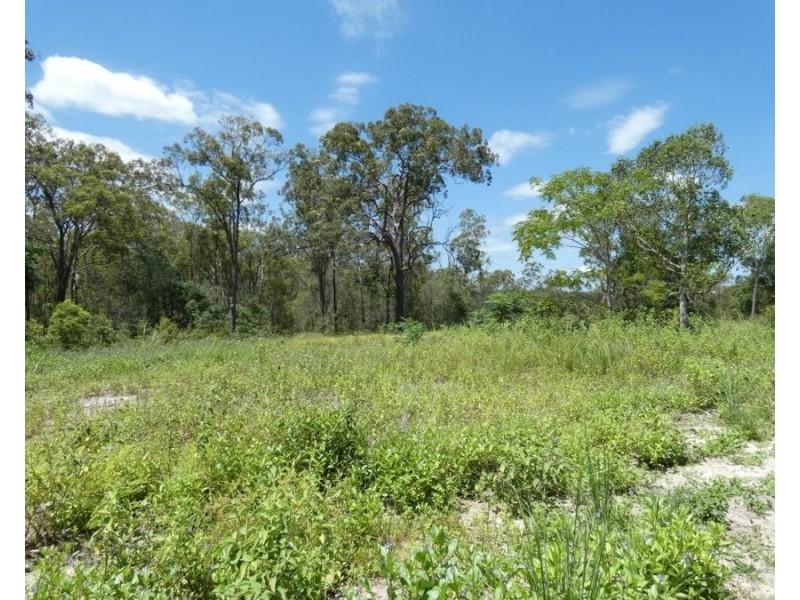 Lot 41 Moolyung Road, Waterloo QLD 4673