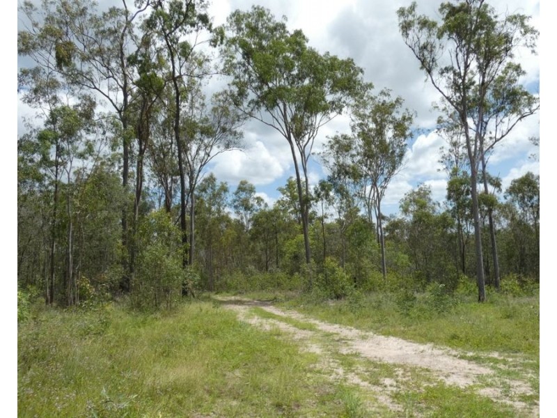 Lot 41 Moolyung Road, Waterloo QLD 4673
