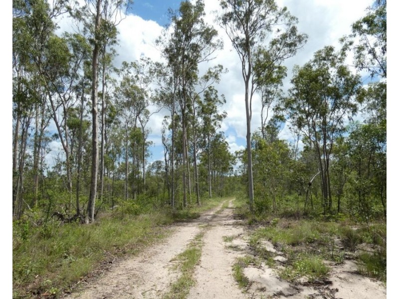 Lot 41 Moolyung Road, Waterloo QLD 4673