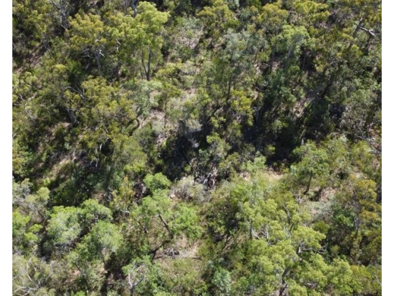 Lot 26 Tableland Road, Mount Maria QLD 4674