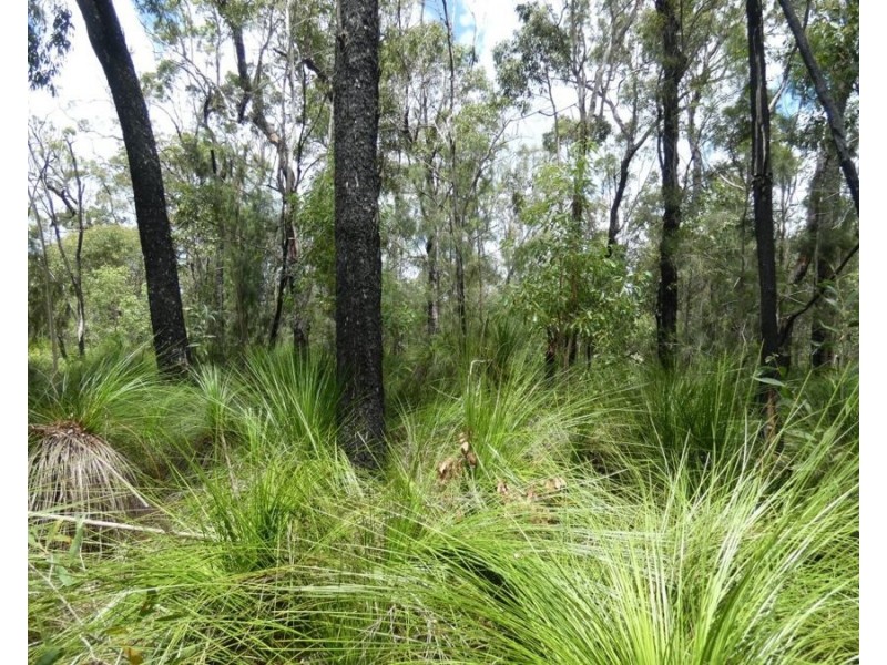 960 Pacific Drive, Deepwater QLD 4674