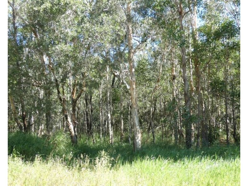 960 Pacific Drive, Deepwater QLD 4674