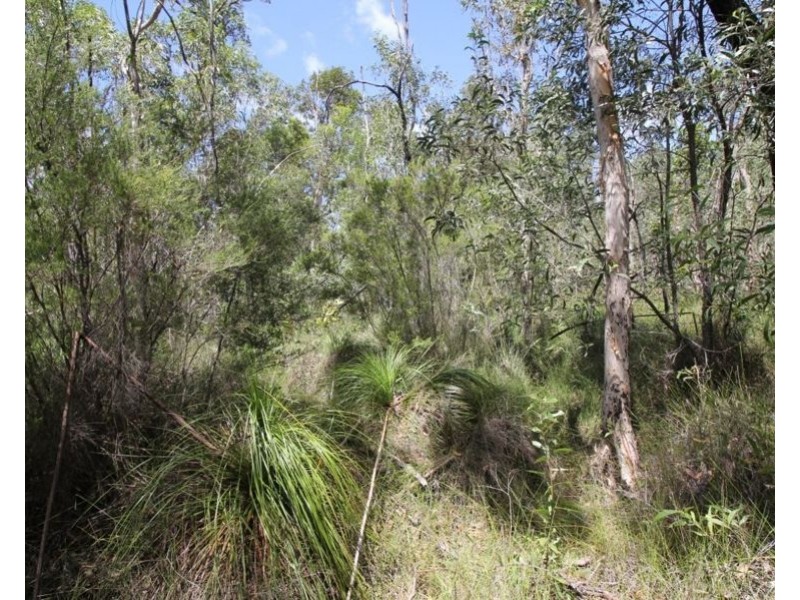 960 Pacific Drive, Deepwater QLD 4674