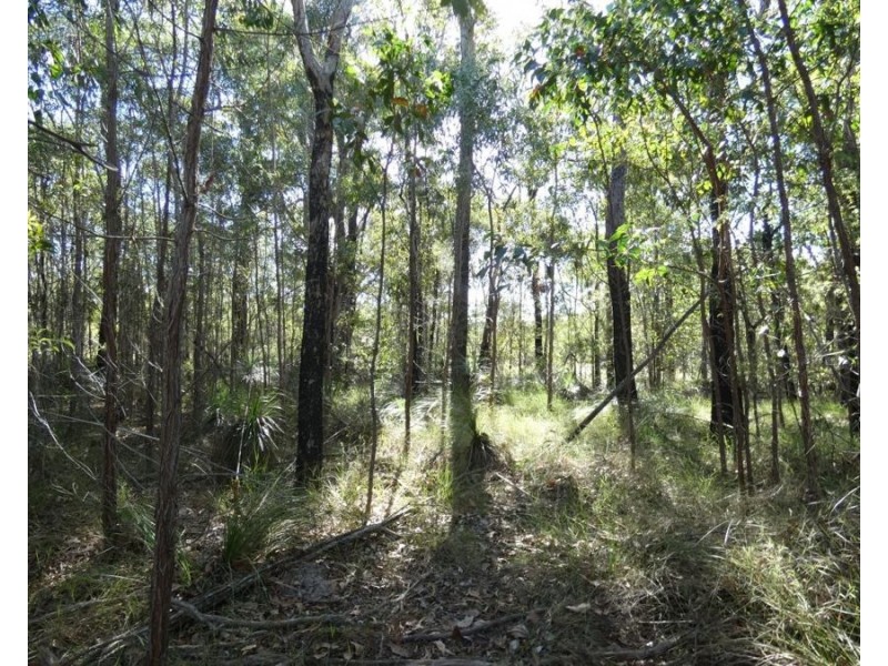 960 Pacific Drive, Deepwater QLD 4674