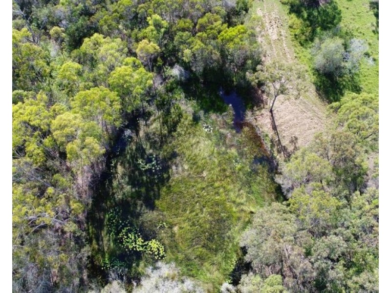 1256 Tableland Road, Mount Maria QLD 4674