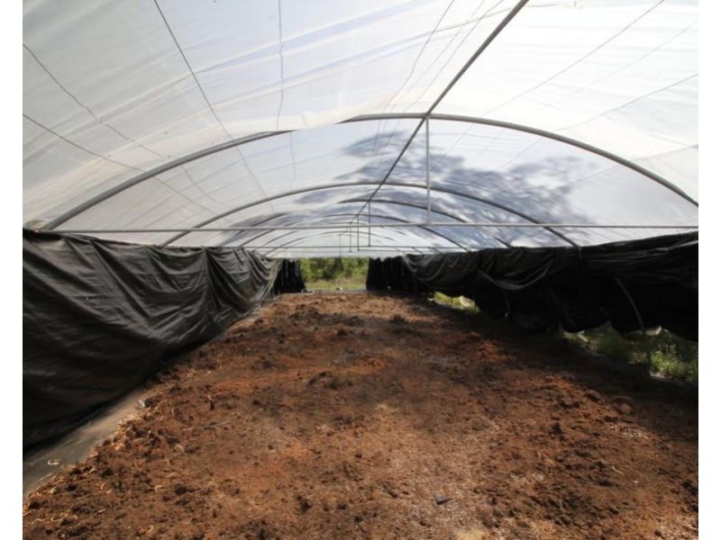 538 Capricornia Drive, Deepwater QLD 4674