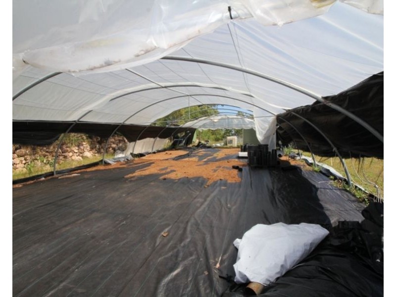 538 Capricornia Drive, Deepwater QLD 4674