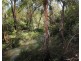 491 Hills Road, Berajondo QLD 4674