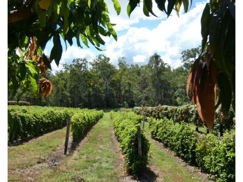 86 Simpsons Road, Bullyard QLD 4671