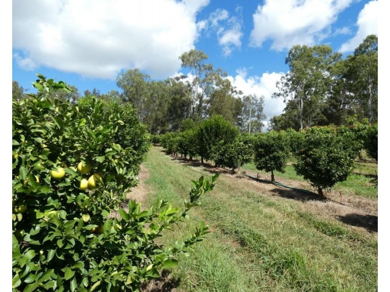 86 Simpsons Road, Bullyard QLD 4671