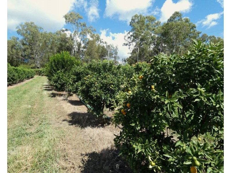 86 Simpsons Road, Bullyard QLD 4671