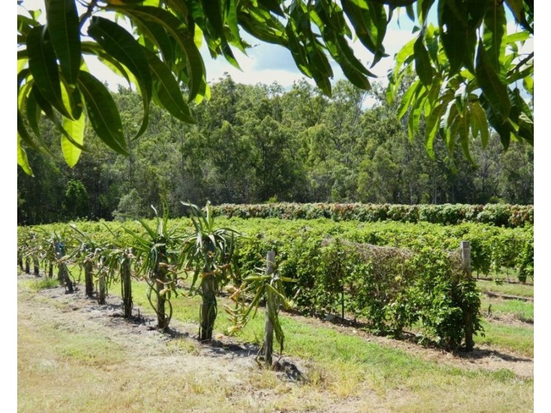 86 Simpsons Road, Bullyard QLD 4671