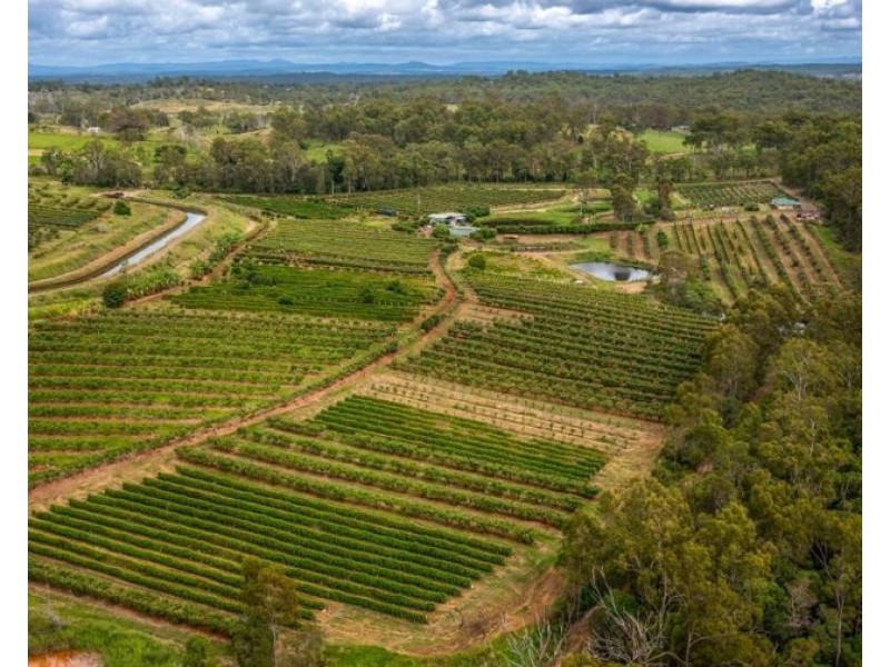 86 Simpsons Road, Bullyard QLD 4671