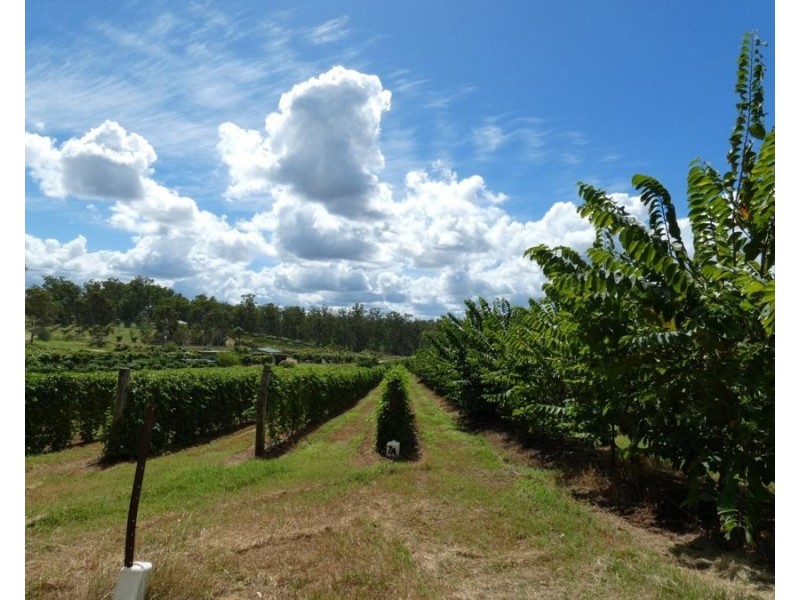 86 Simpsons Road, Bullyard QLD 4671