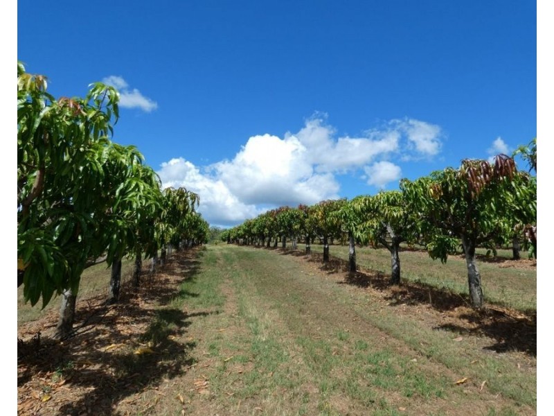 86 Simpsons Road, Bullyard QLD 4671