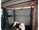 718 Pacific Drive, Deepwater QLD 4674