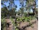 718 Pacific Drive, Deepwater QLD 4674