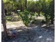 718 Pacific Drive, Deepwater QLD 4674
