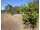 1140 Tableland Road, Mount Maria QLD 4674
