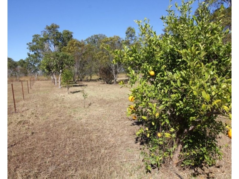 1140 Tableland Road, Mount Maria QLD 4674