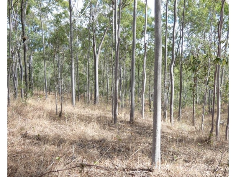 Lot 16 Tableland Road, Mount Maria QLD 4674