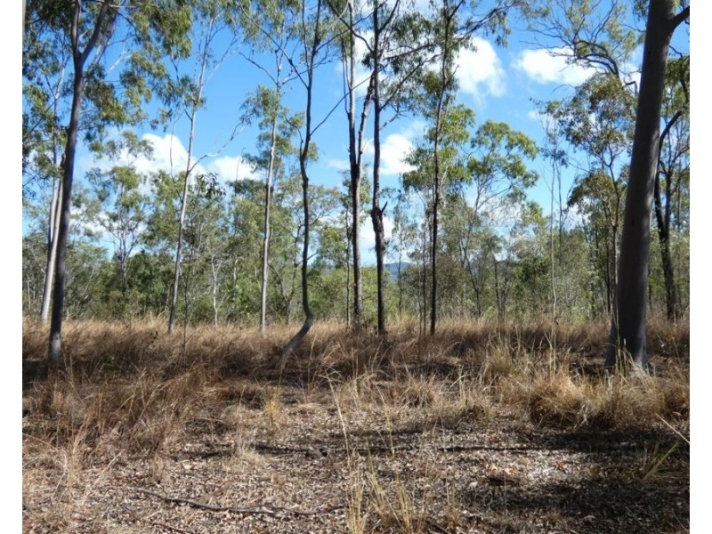 Lot 16 Tableland Road, Mount Maria QLD 4674
