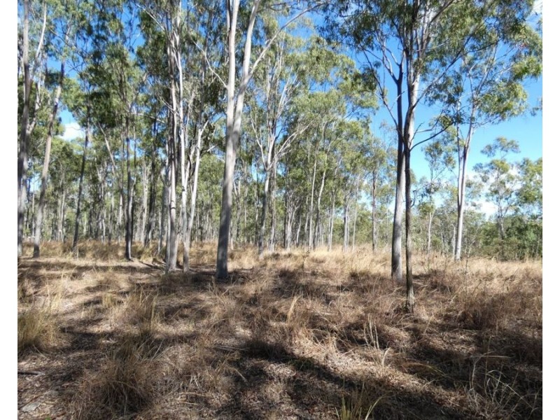 Lot 16 Tableland Road, Mount Maria QLD 4674